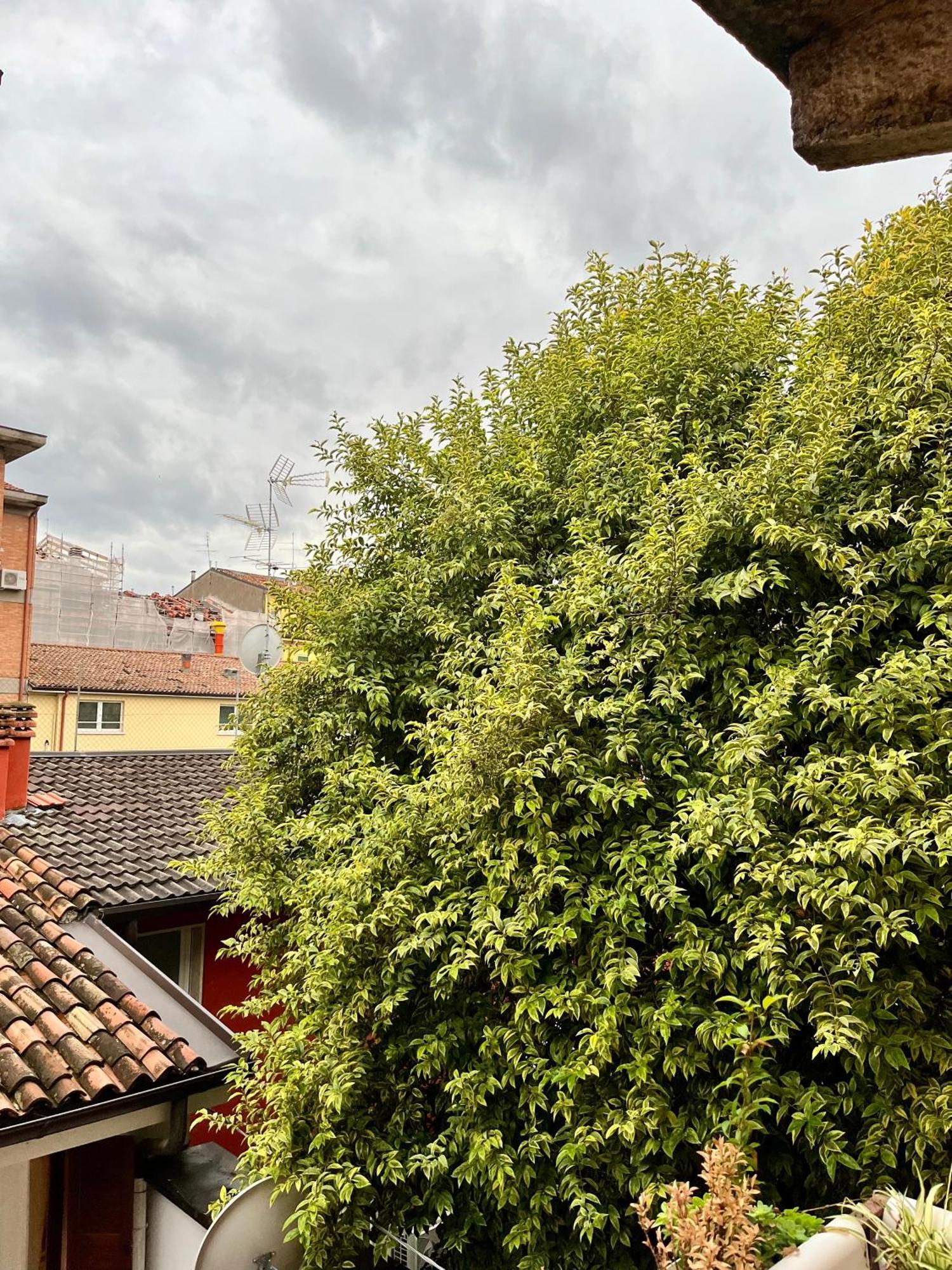 San Bernardino Monolocale Con Balcone Appartement Verona Buitenkant foto